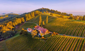 Weingut Winzerzimmer Rothschädl